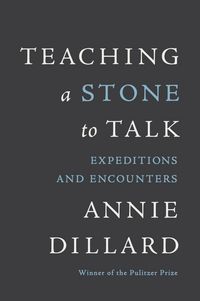 Produktbild: Teaching a Stone to Talk