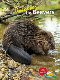 Produktbild: Discover the Beavers