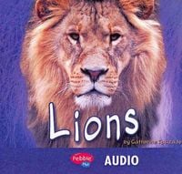 Produktbild: LIONS                        D