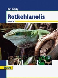 Produktbild: Rotkehlanolis