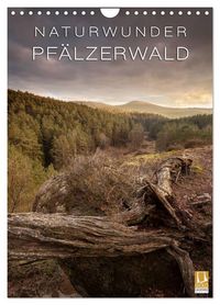 Produktbild: NATURWUNDER PF&Auml;LZERWALD (Wandkalender 2026 DIN A4 hoch), CALVENDO Monatskalender