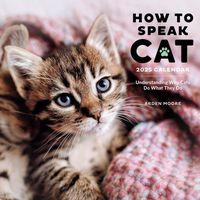 Produktbild: Workman Calendars: How to Speak Cat Wall Calendar 2025