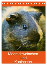 Produktbild: Meerschweinchen und Kaninchen Familienplaner (Tischkalender 2027 DIN A5 hoch), CALVENDO Monatskalender