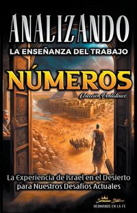 Produktbild: Analizando la Ense&ntilde;anza del Trabajo en N&uacute;meros