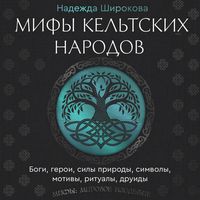 Produktbild: Mify keltskih narodov. Bogi, geroi, sily prirody, simvoly, motivy, ritualy, druidy