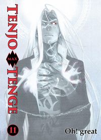 Produktbild: Tenjo Tenge Max, Band 11