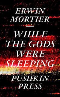 Produktbild: While The Gods Were Sleeping