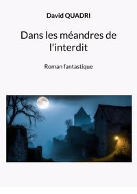 Produktbild: Dans les m&eacute;andres de l'interdit