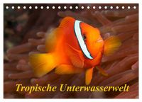 Produktbild: Tropische Unterwasserwelt (Tischkalender 2026 DIN A5 quer), CALVENDO Monatskalender