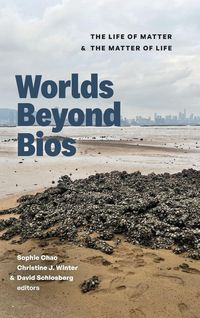 Produktbild: Worlds Beyond Bios