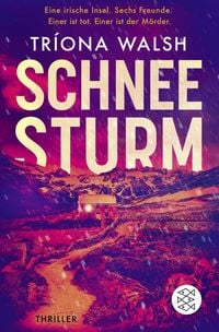 Produktbild: Schneesturm