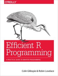 Produktbild: Efficient R Programming