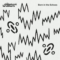 Produktbild: Born In The Echoes (2LP)