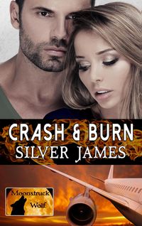 Produktbild: Crash & Burn (Moonstruck Wolf, #2)