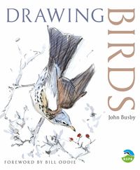 Produktbild: Drawing Birds