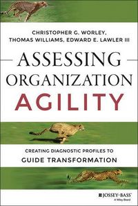 Produktbild: Assessing Organization Agility