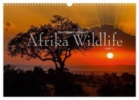Produktbild: Emotionale Momente: Afrika Wildlife Part 2 / CH-Version (Wandkalender 2026 DIN A3 quer), CALVENDO Monatskalender