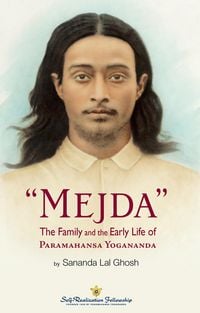 Produktbild: Mejda