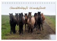 Produktbild: Charakterk&ouml;pfe Islandpferde (Tischkalender 2027 DIN A5 quer), CALVENDO Monatskalender