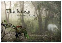 Produktbild: The Jungle at the Door