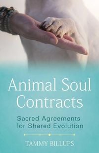 Produktbild: Animal Soul Contracts