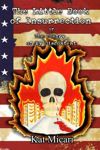 Produktbild: The Little Book of Insurrection or the Poetry of My Discontent