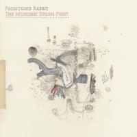 Produktbild: The Midnight Organ Fight