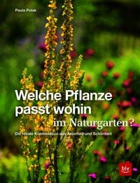 Produktbild Welche Pflanze passt wohin im Naturgarten?