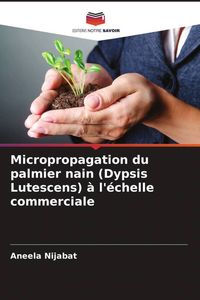 Produktbild: Micropropagation du palmier nain (Dypsis Lutescens) &agrave; l'&eacute;chelle commerciale