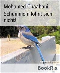 Produktbild: Schummeln lohnt sich nicht!