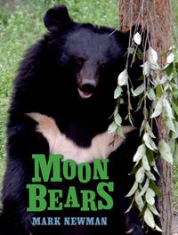 Produktbild: Moon Bears