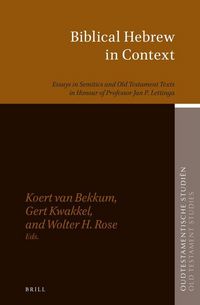 Produktbild: Biblical Hebrew in Context