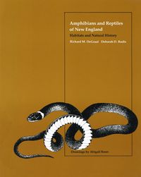 Produktbild: Amphibians and Reptiles of New England
