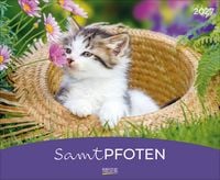 Produktbild Samtpfoten 2027