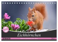 Produktbild: Eichh&ouml;rnchen Momentaufnahmen f&uuml;rs Herz (Tischkalender 2027 DIN A5 quer), CALVENDO Monatskalender