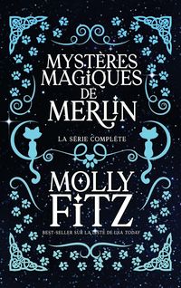 Produktbild: Myst&egrave;res Magiques de Merlin