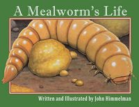Produktbild: A Mealworm's Life