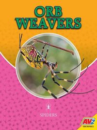 Produktbild: Orb Weavers
