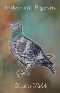 Produktbild: Iridescent Pigeons