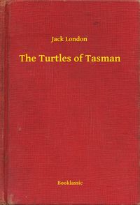 Produktbild: The Turtles of Tasman