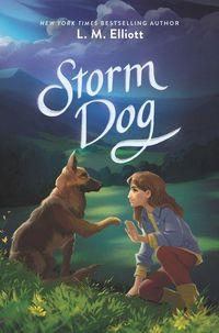 Produktbild: Storm Dog