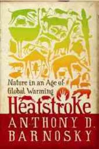 Produktbild: Heatstroke