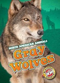 Produktbild: Gray Wolves