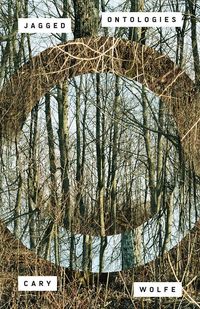 Produktbild: Jagged Ontologies Volume 81