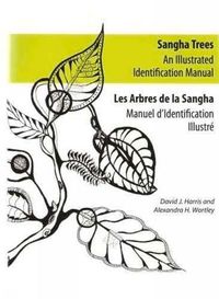 Produktbild: Sangha Trees