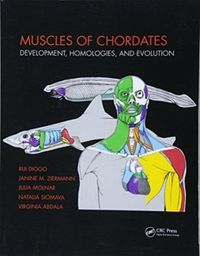 Produktbild: Muscles of Chordates