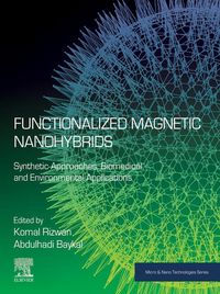 Produktbild: Functionalized Magnetic Nanohybrids