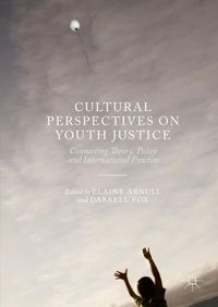 Produktbild: Cultural Perspectives on Youth Justice