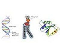 Produktbild: Estimation of Serum Phosphorus