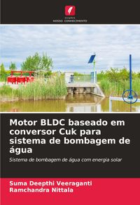 Produktbild: Motor BLDC baseado em conversor Cuk para sistema de bombagem de &aacute;gua